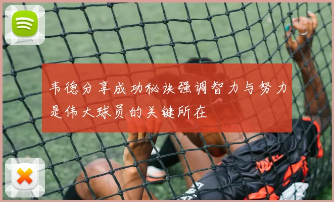 韦德分享成功秘诀强调智力与努力是伟大球员的关键所在