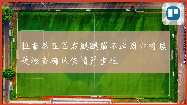 拉菲尼亚因右腿腿筋不适周六将接受检查确认伤情严重性